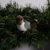 5 Inch Mushroom Bird