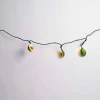 Avocado Light Set