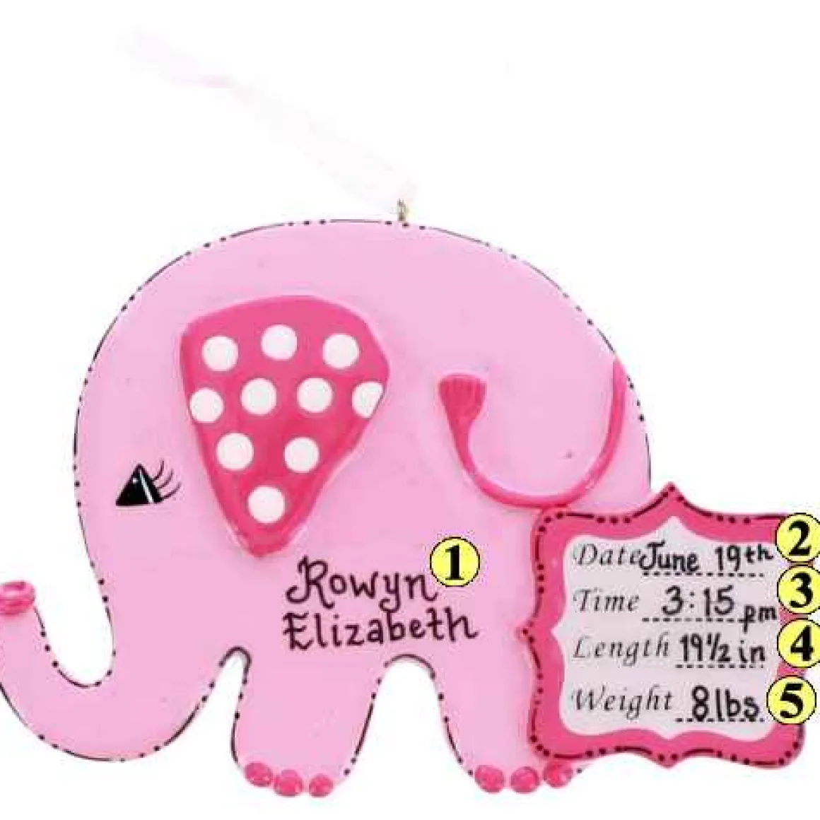 Baby Girl Elephant