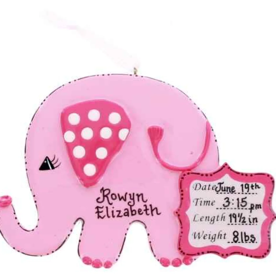 Baby Girl Elephant