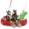 Bears In Canoe 2
