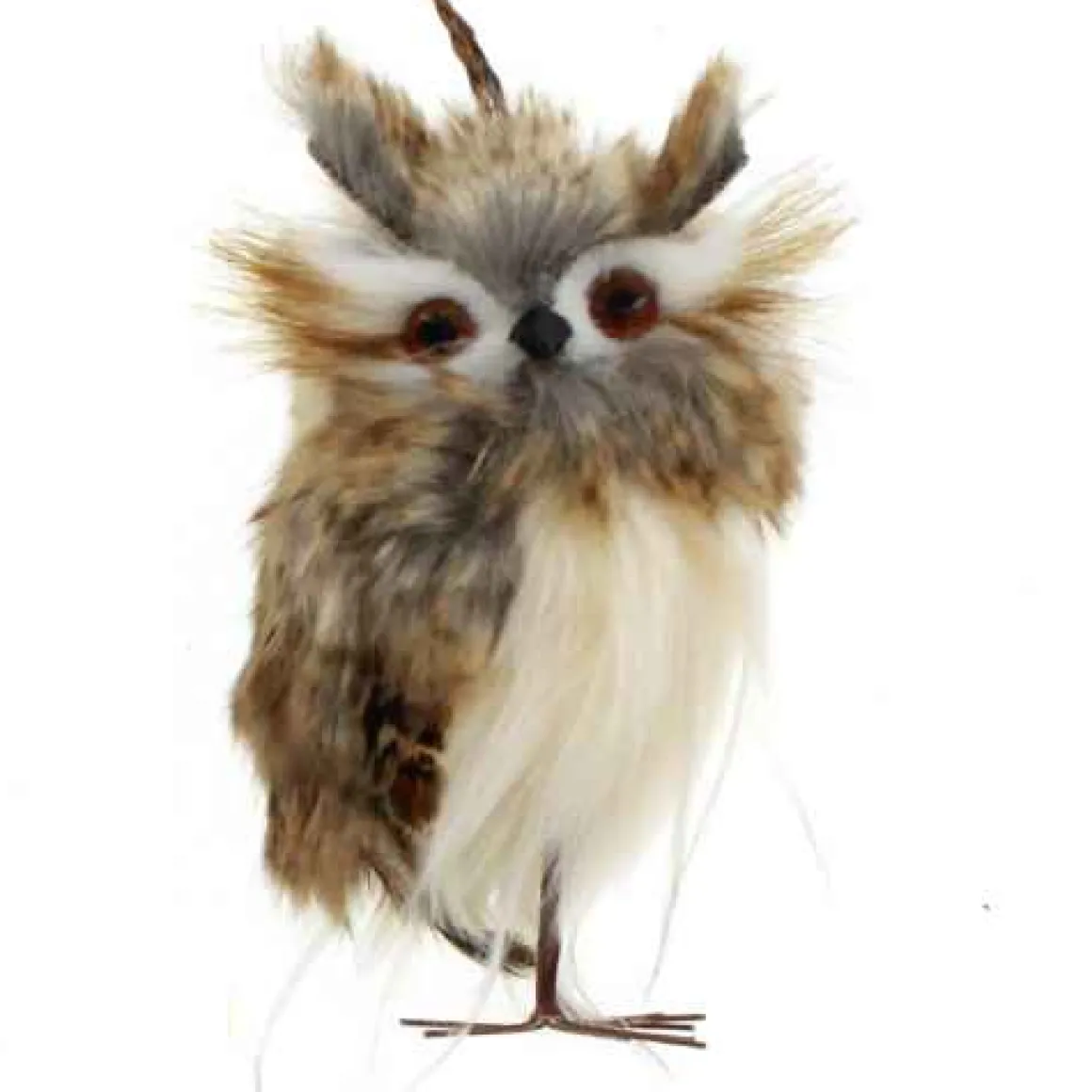 Brown Fur Hoot Owl