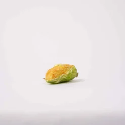 Corn On The Cob Noble Gem