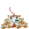 Fox Family Of 8