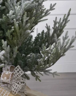 6Ft Snowy Norway Spruce Tree