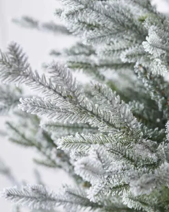 5Ft Snowy Norway Spruce Tree