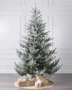 5Ft Snowy Norway Spruce Tree