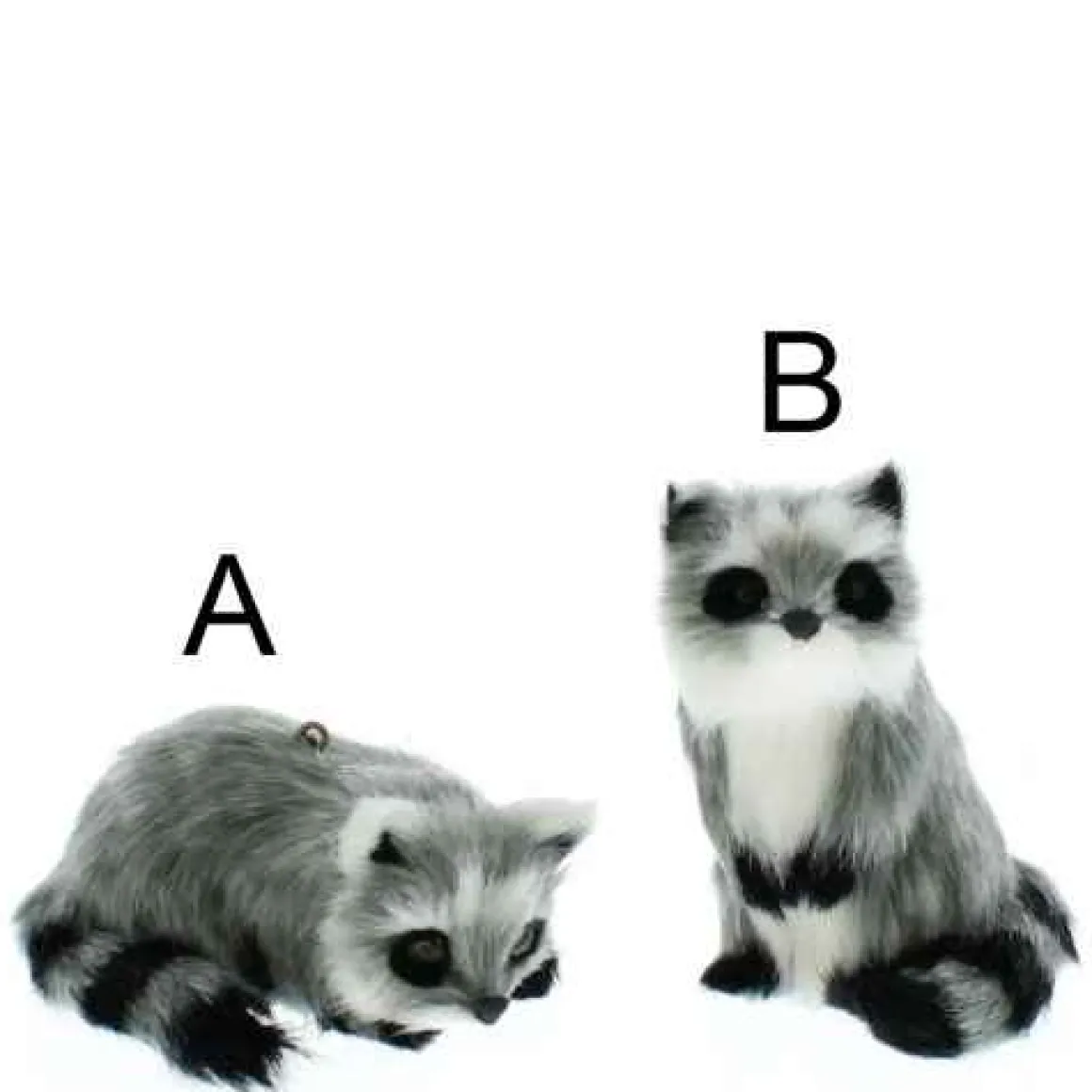 Furry Raccoon