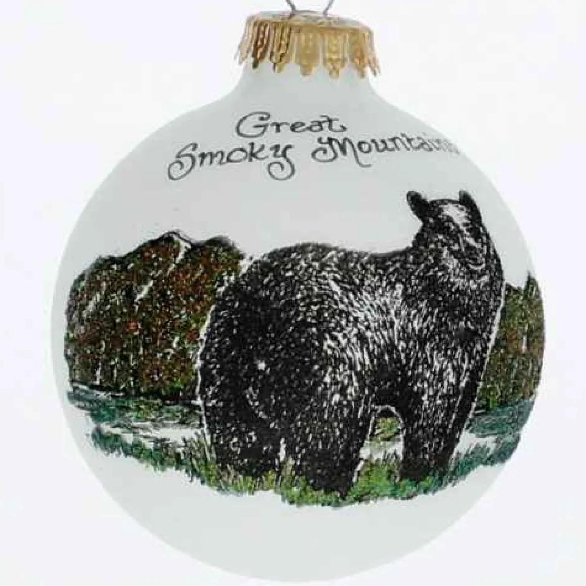 Great Smoky Mountains Black Bear