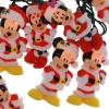 Mickey And Minnie Light Set