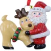 Santa With Reindeer