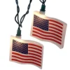 Usa Flag Light Set
